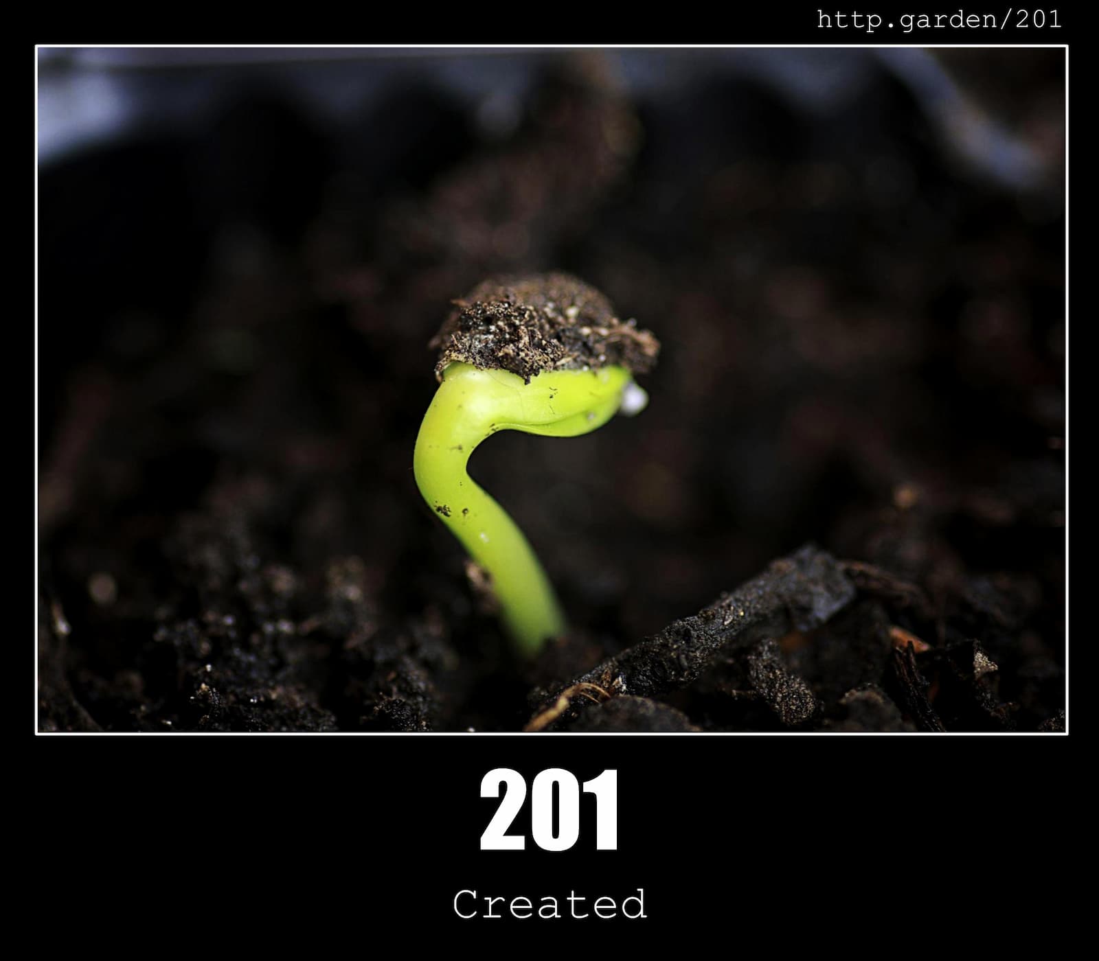 201 Created HTTP Status Code And Gardening 