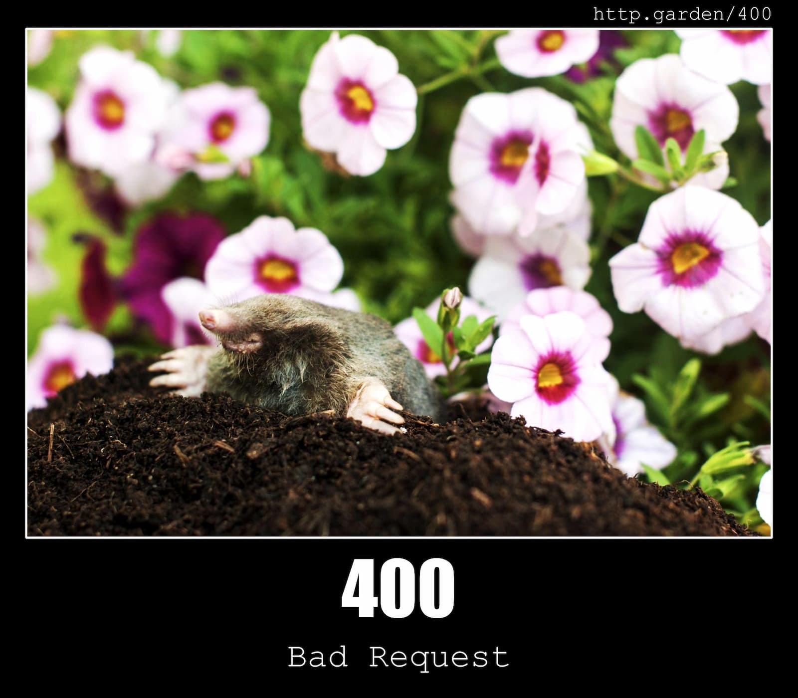 400 Bad Request HTTP Status Code And Gardening 