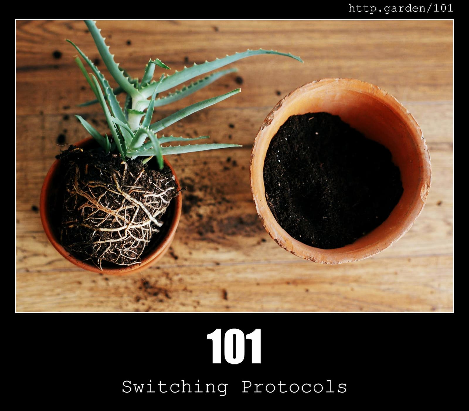 HTTP Status Code 101 Switching Protocols & Gardening