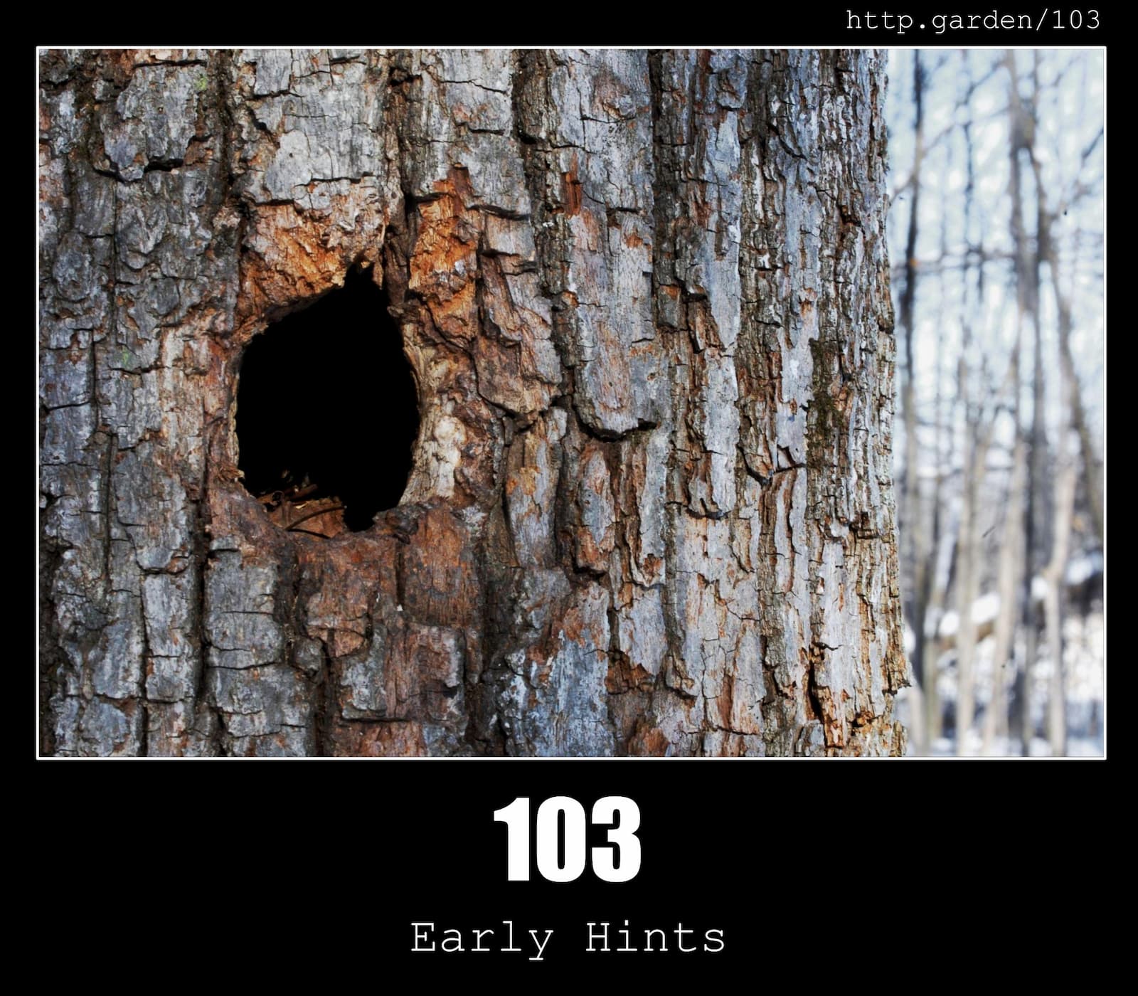 HTTP Status Code 103 Early Hints