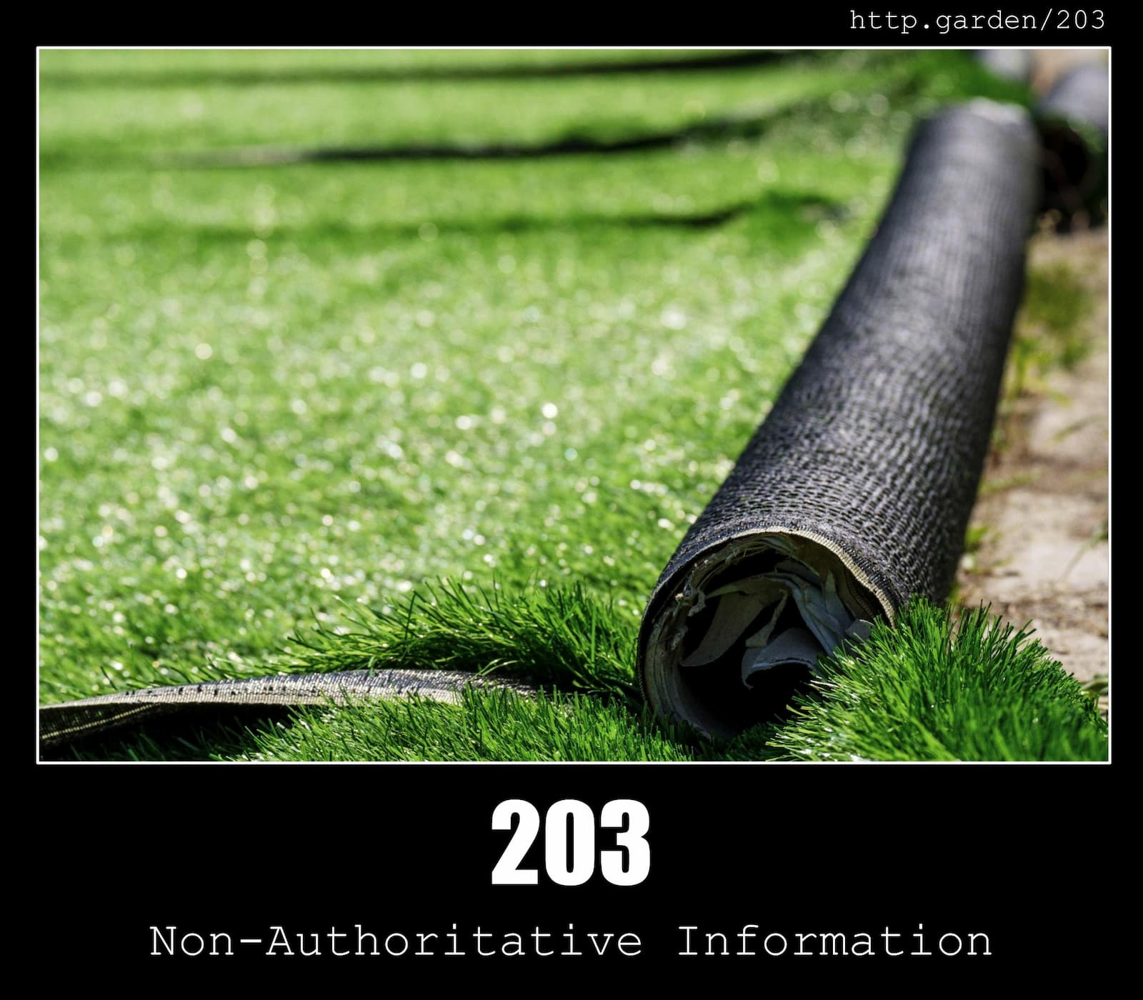 HTTP Status Code 203 Non-Authoritative Information & Gardening