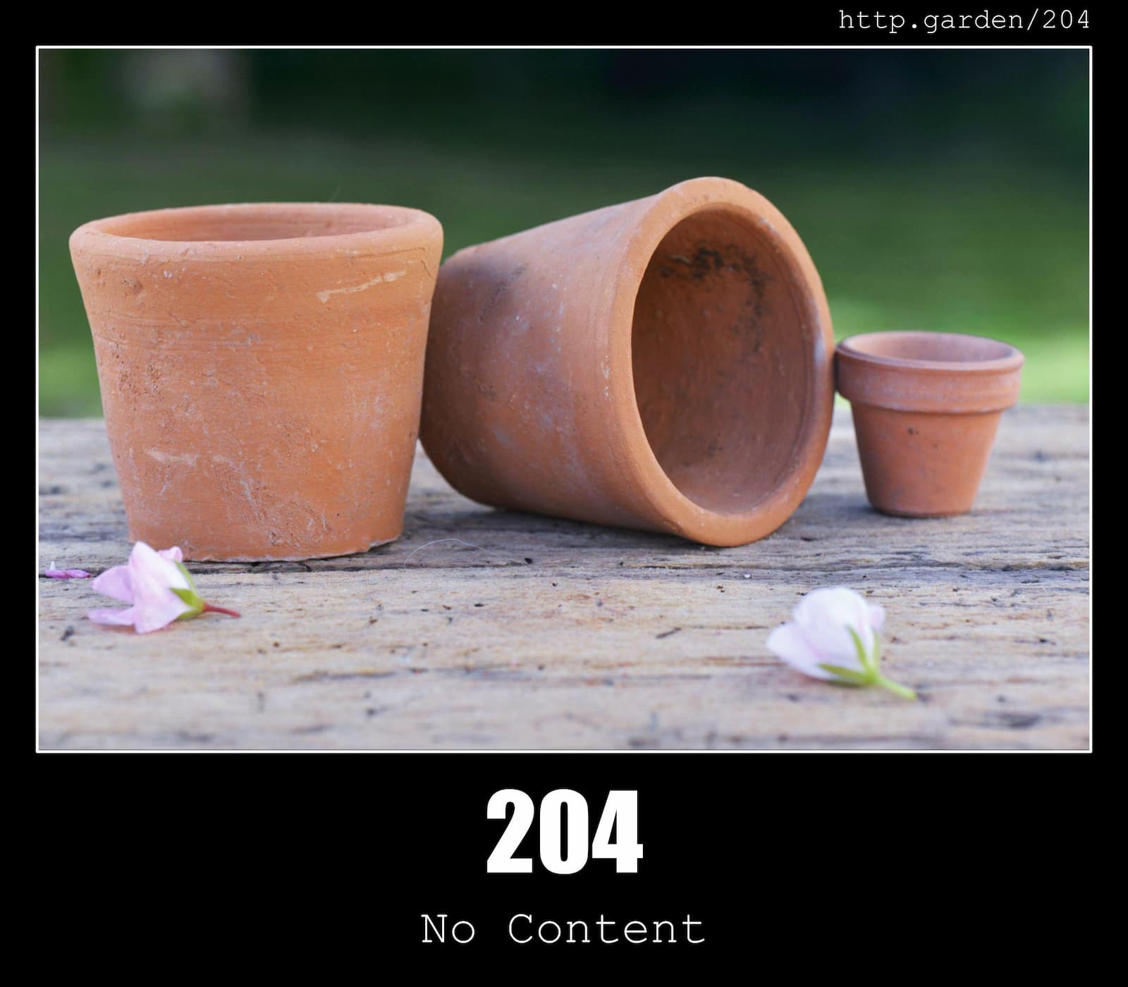 HTTP Status Code 204 No Content & Gardening