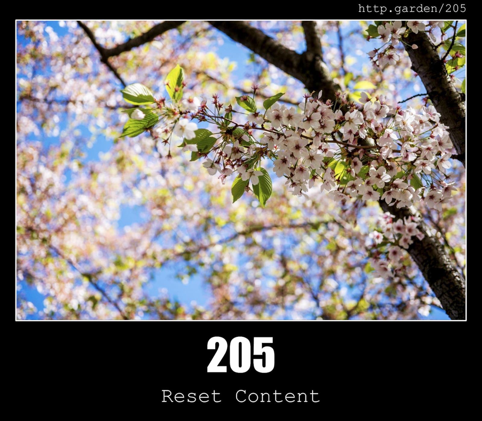 HTTP Status Code 205 Reset Content & Gardening