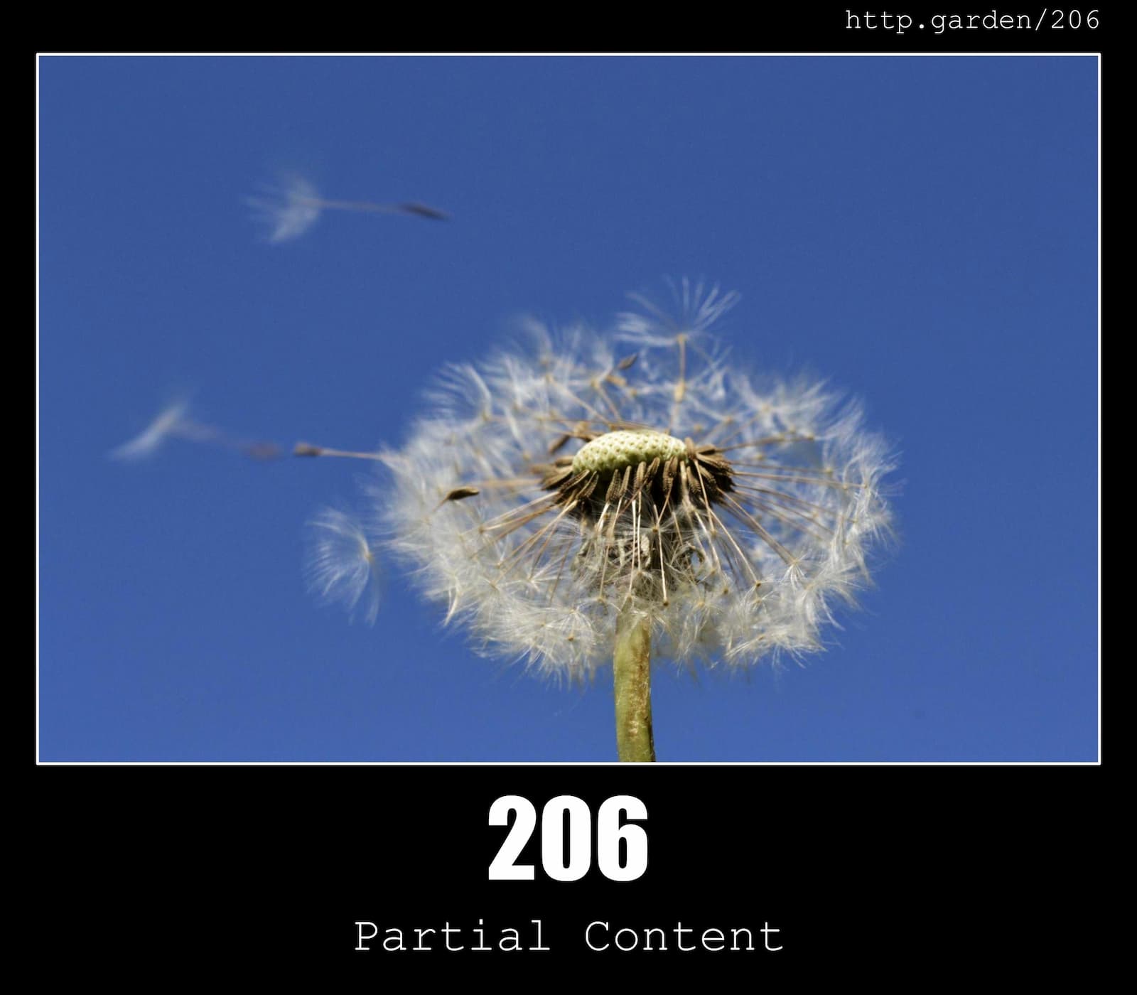 HTTP Status Code 206 Partial Content  & Gardening