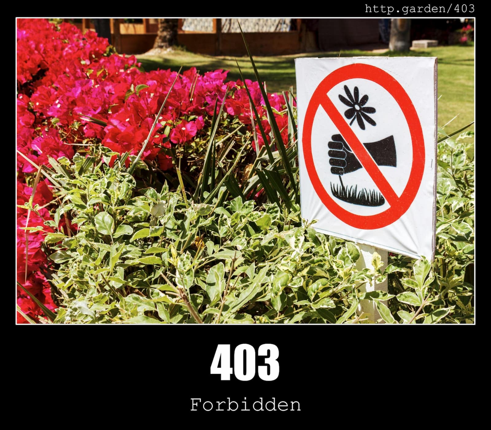 HTTP Status Code 403 Forbidden & Gardening