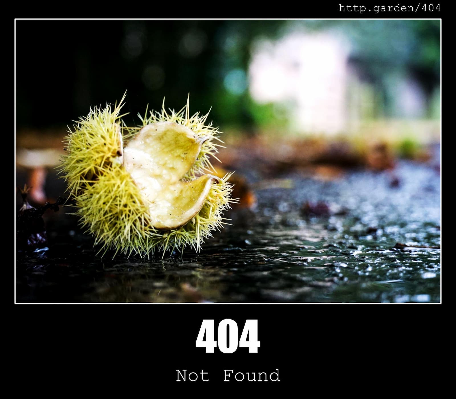 HTTP Status Code 404 Not Found