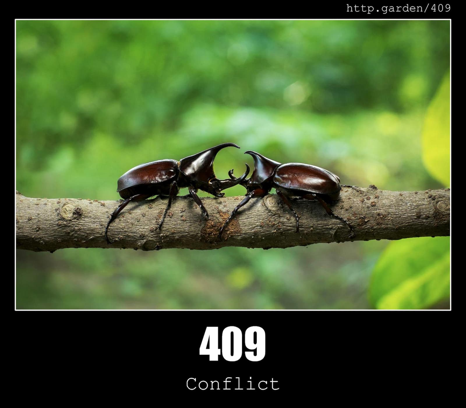 HTTP Status Code 409 Conflict & Gardening