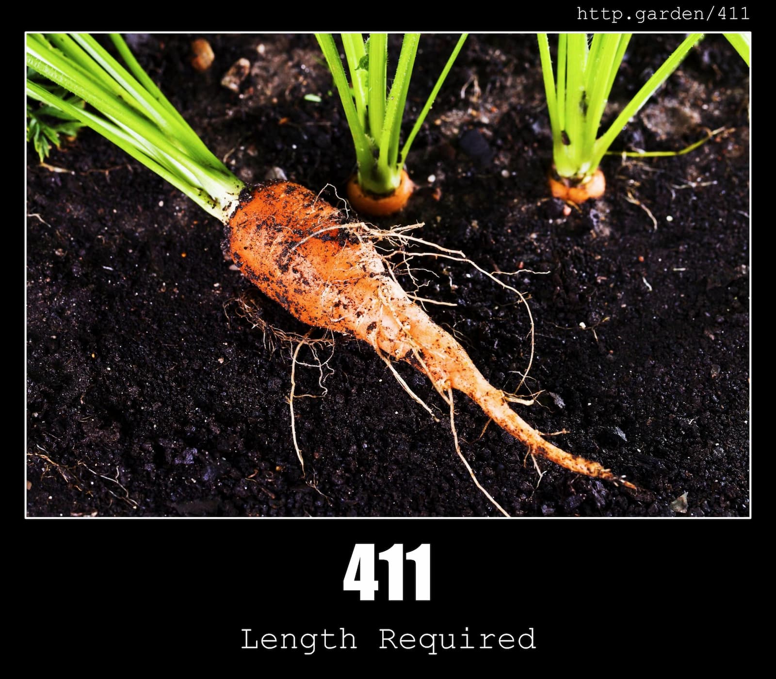 HTTP Status Code 411 Length Required & Gardening