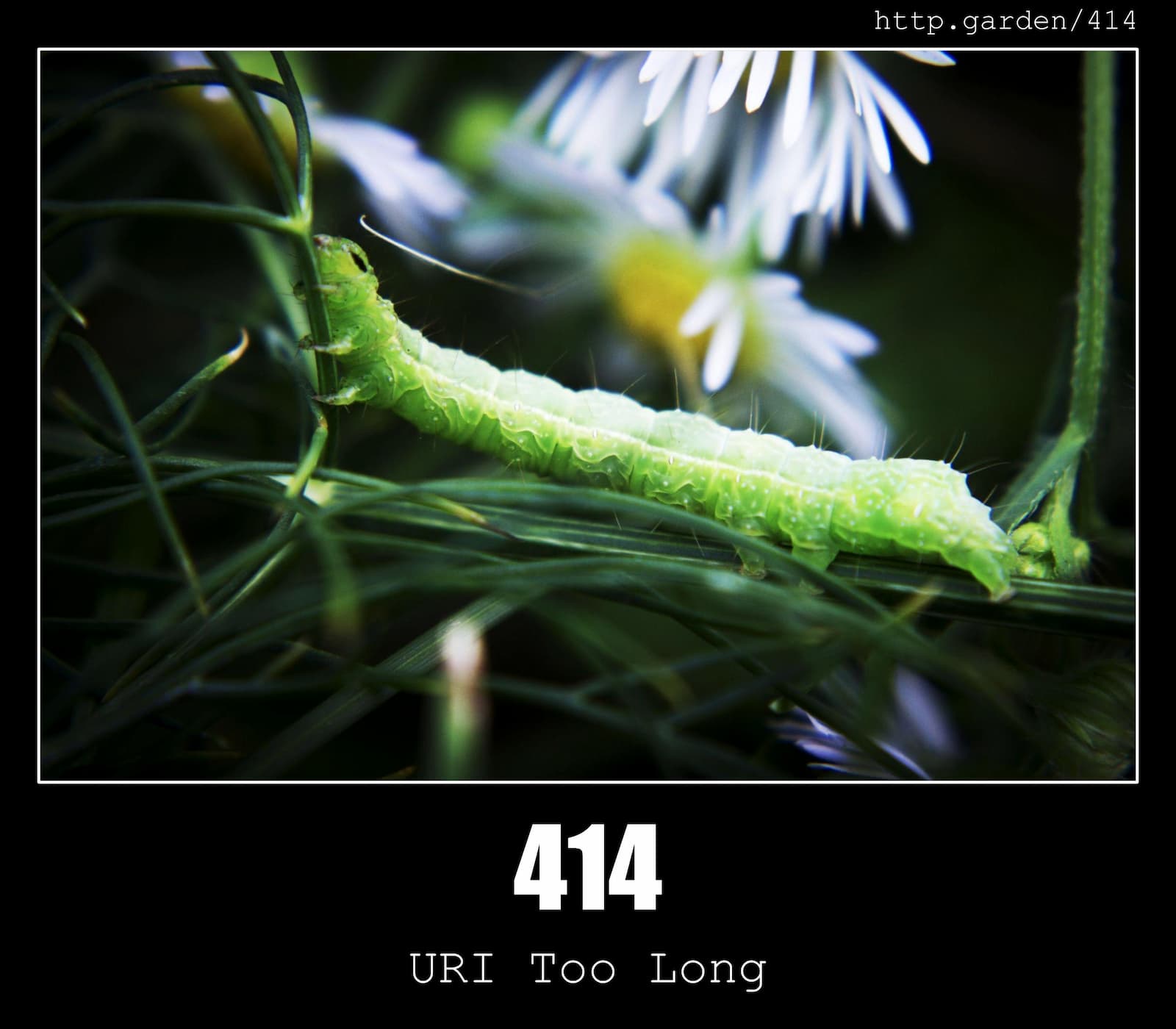 HTTP Status Code 414 URI Too Long & Gardening