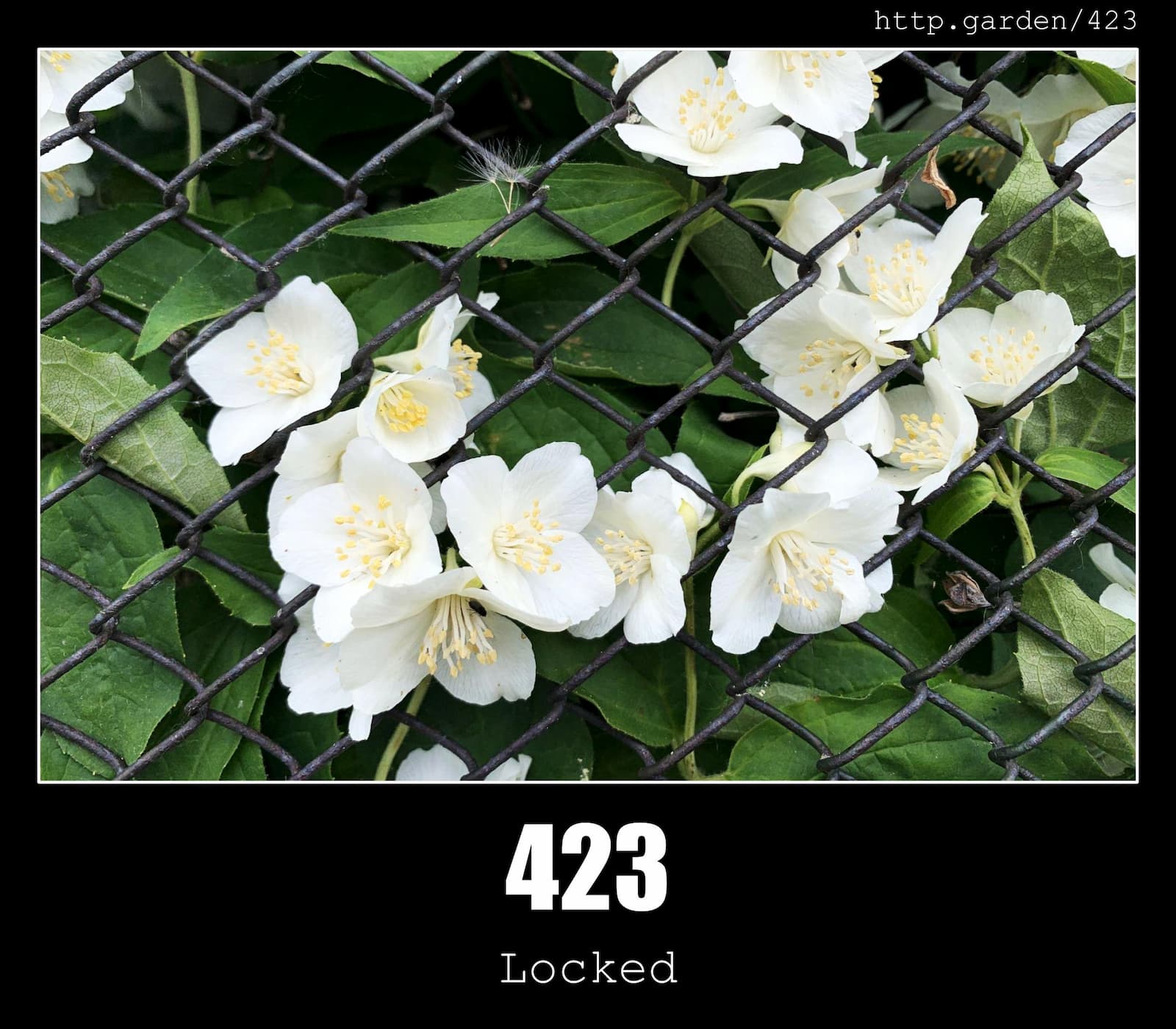 HTTP Status Code 423 Locked & Gardening