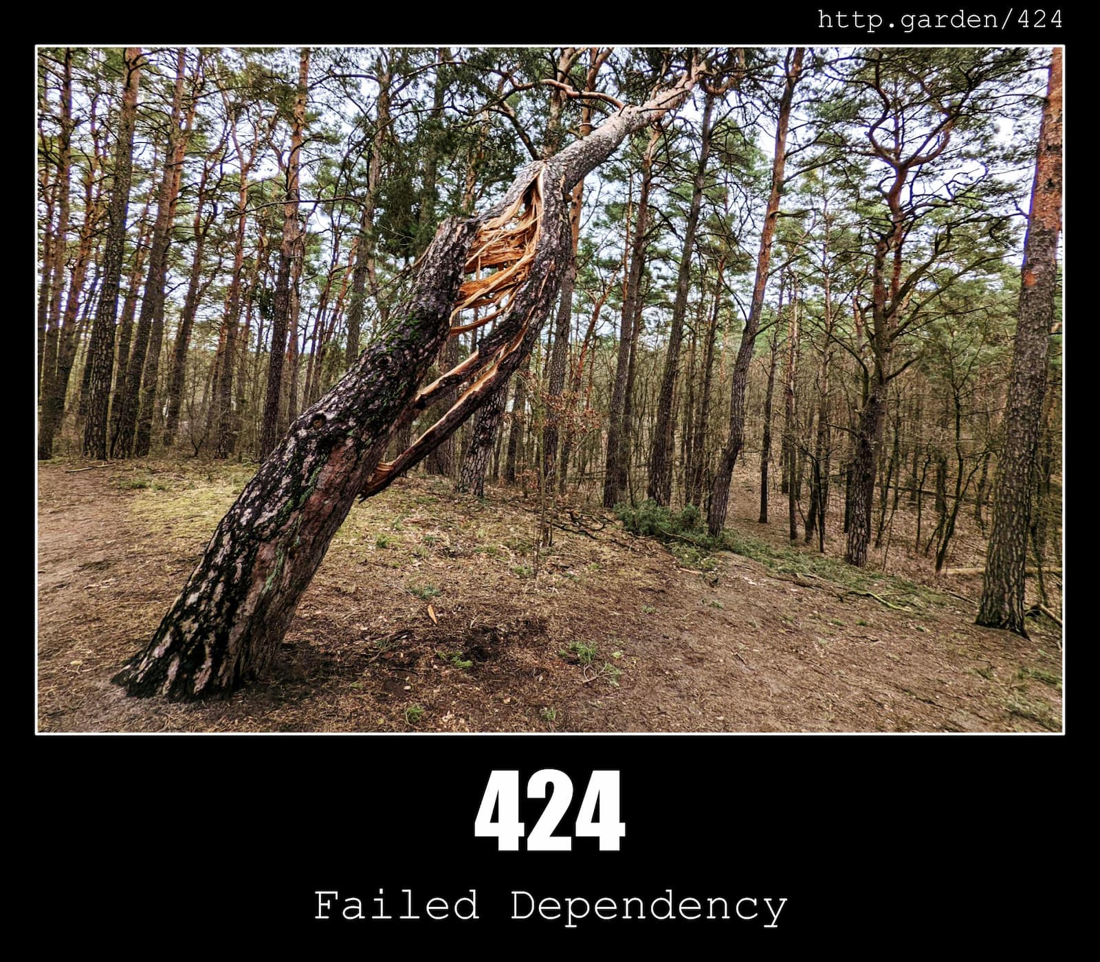 HTTP Status Code 424 Failed Dependency & Gardening
