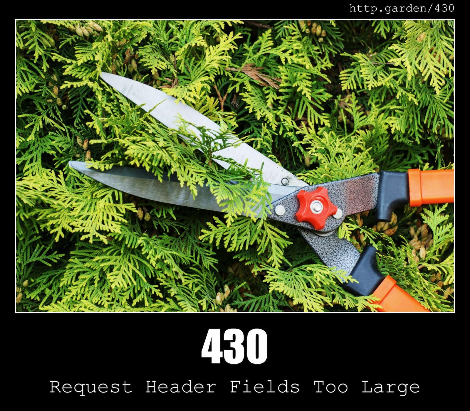 HTTP Status Code 430 Request Header Fields Too Large