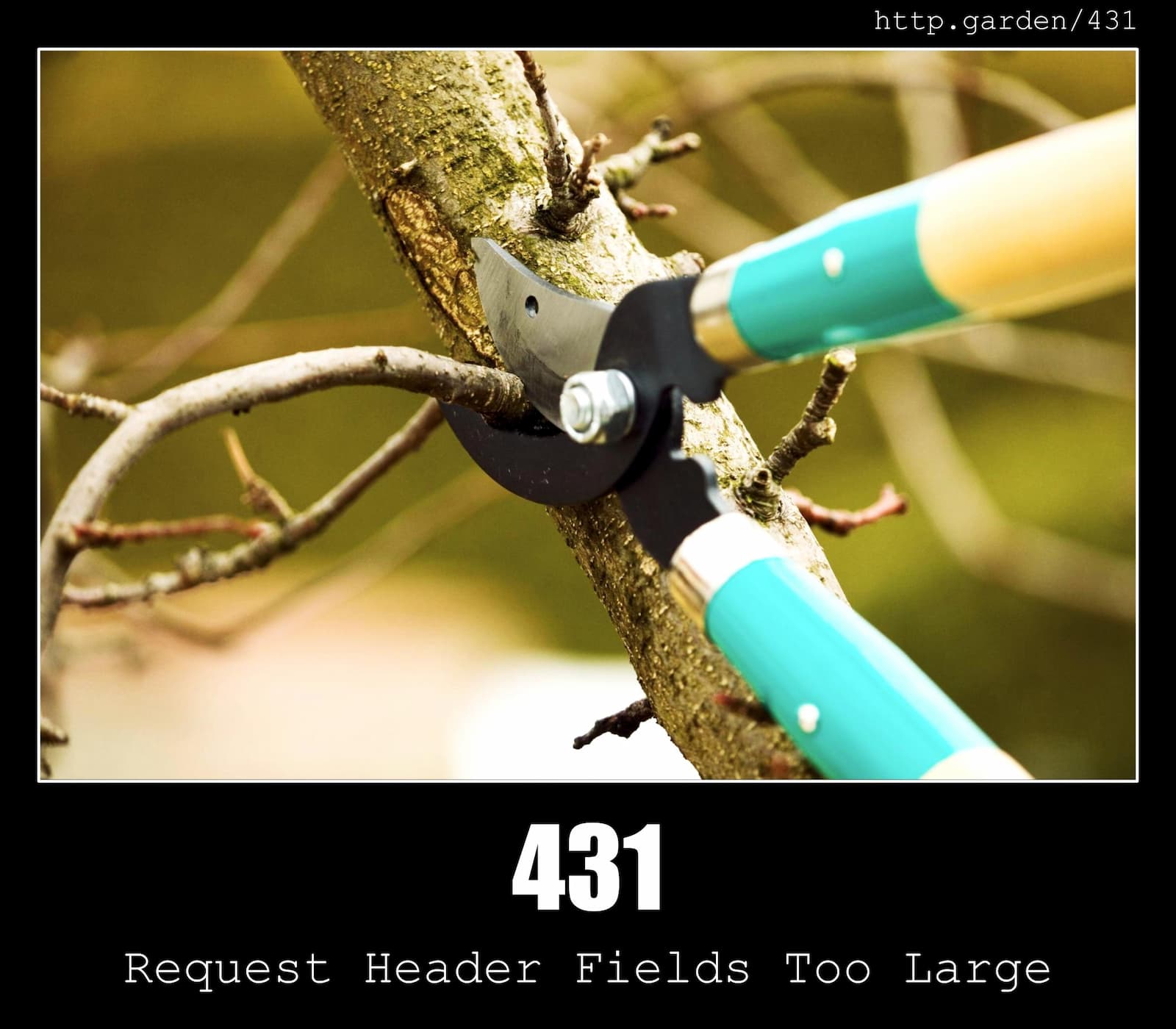 HTTP Status Code 431 Request Header Fields Too Large