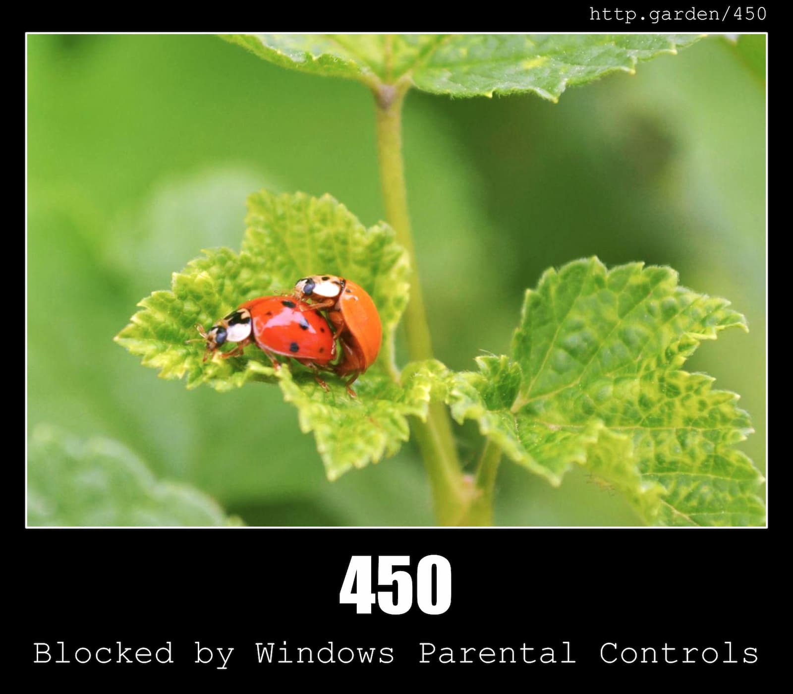 HTTP Status Code 450 Blocked by Windows Parental Controls