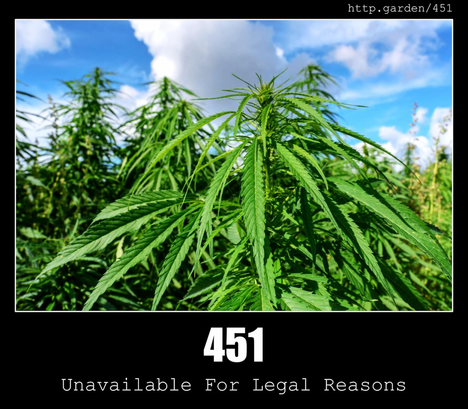 HTTP Status Code 451 Unavailable For Legal Reasons & Gardening