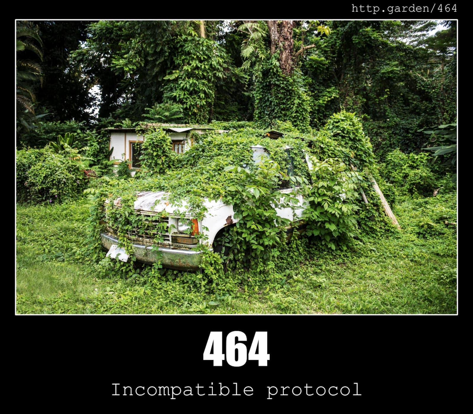 HTTP Status Code 464 Incompatible protocol & Gardening