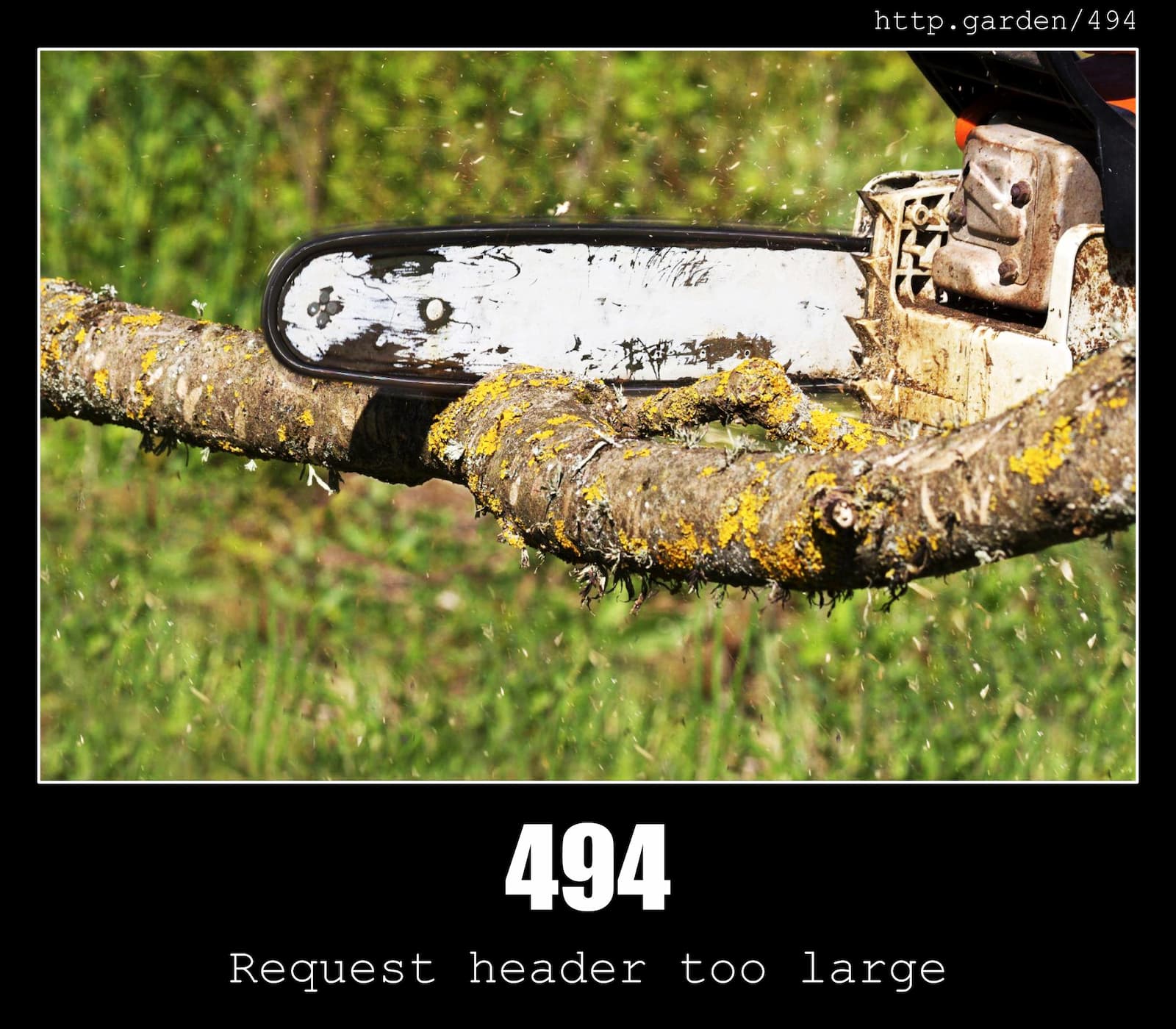 HTTP Status Code 494 Request header too large & Gardening