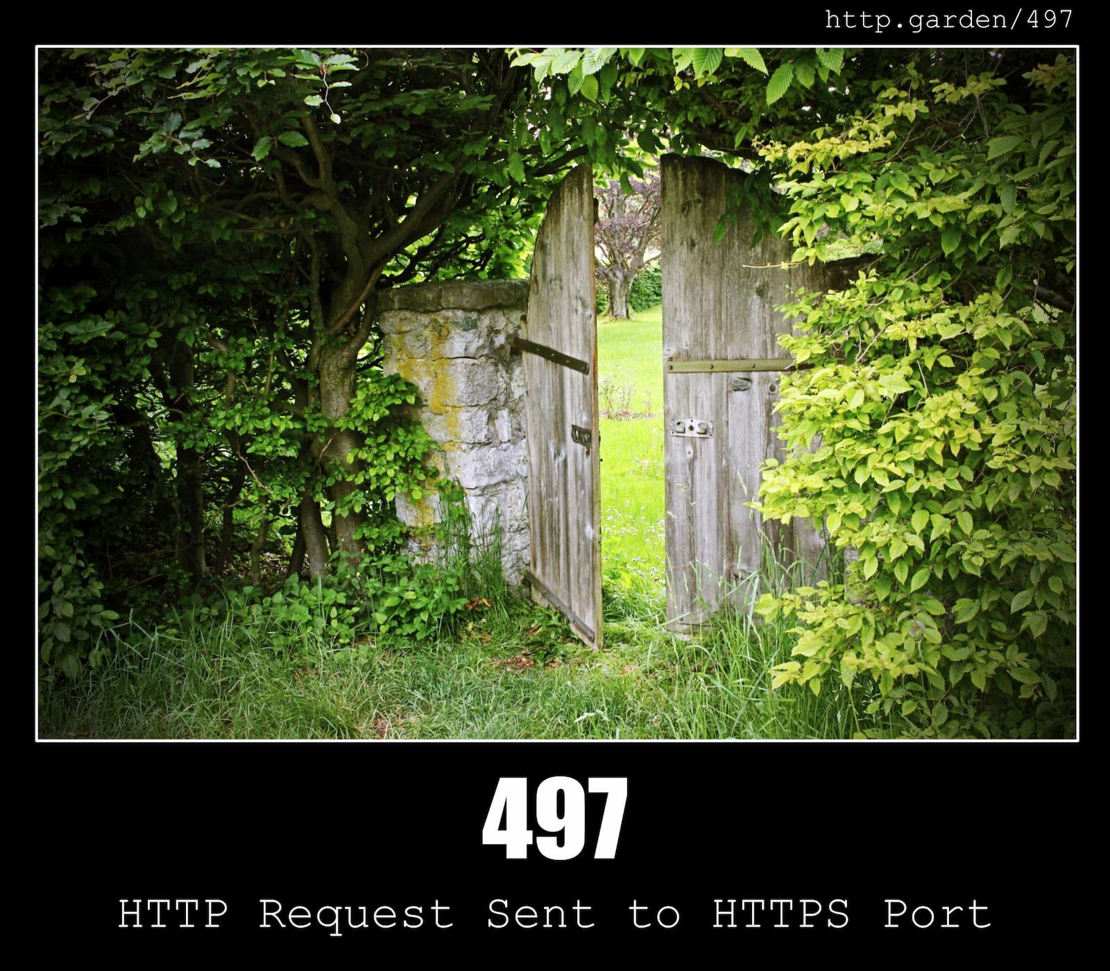 HTTP Status Code 497 HTTP Request Sent to HTTPS Port & Gardening
