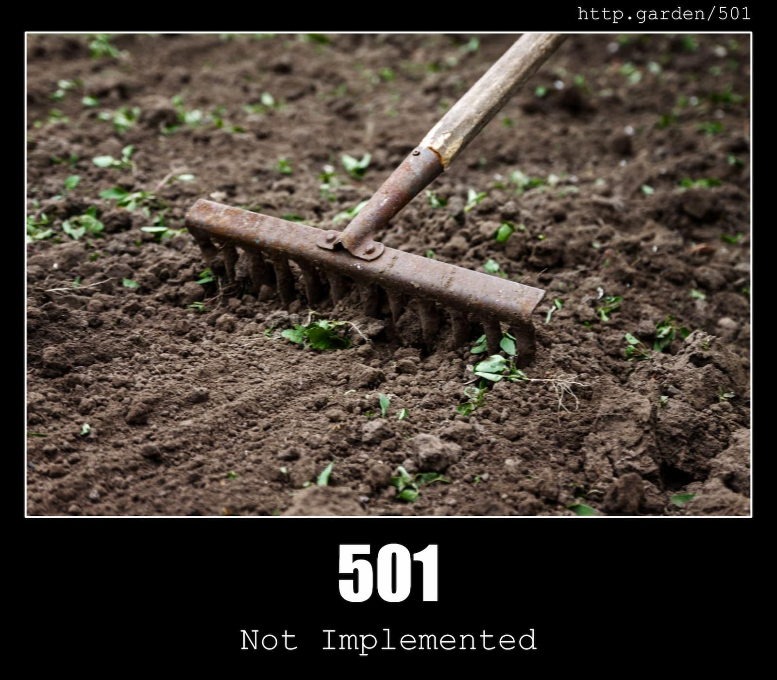 HTTP Status Code 501 Not Implemented