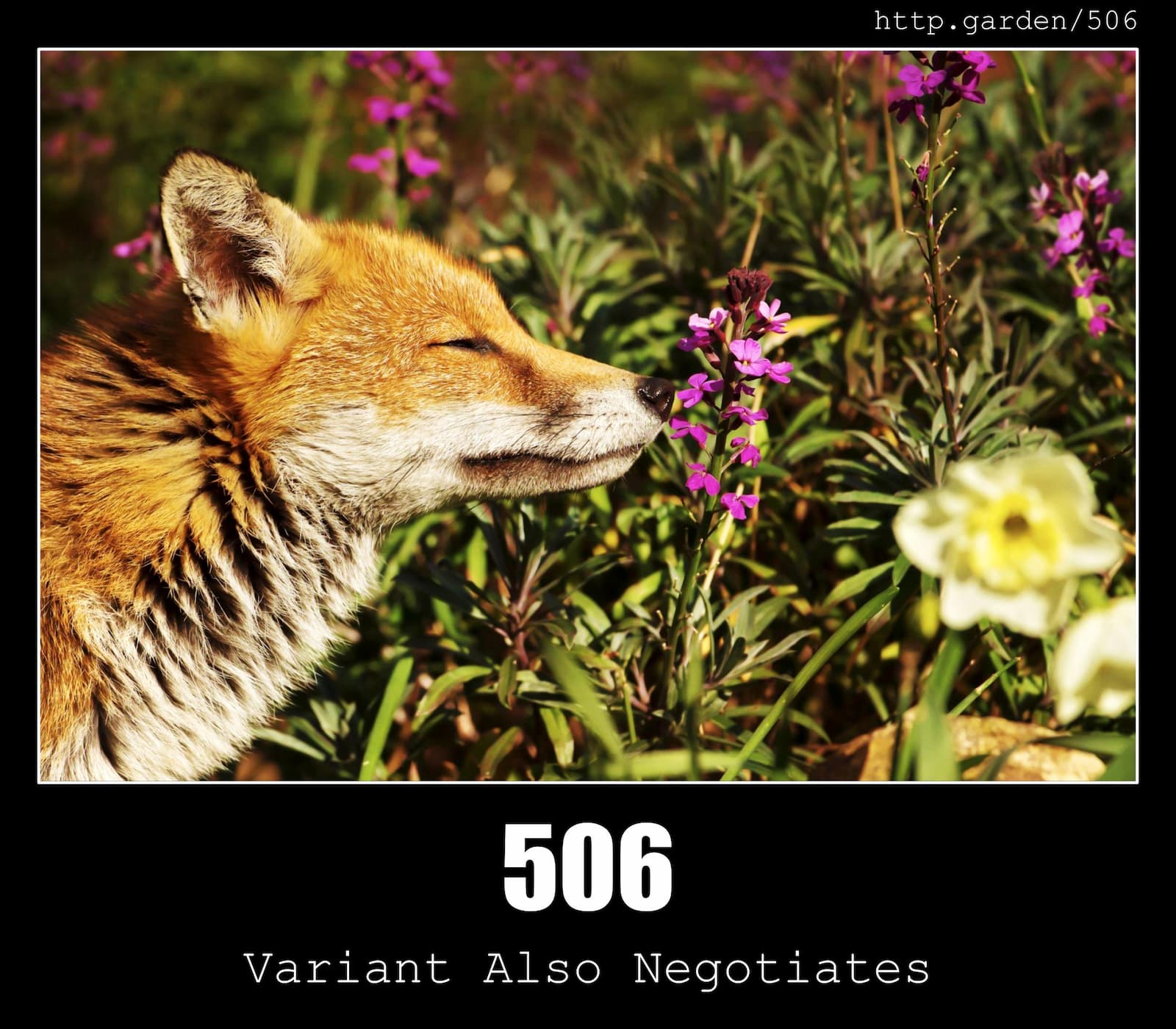 HTTP Status Code 506 Variant Also Negotiates & Gardening