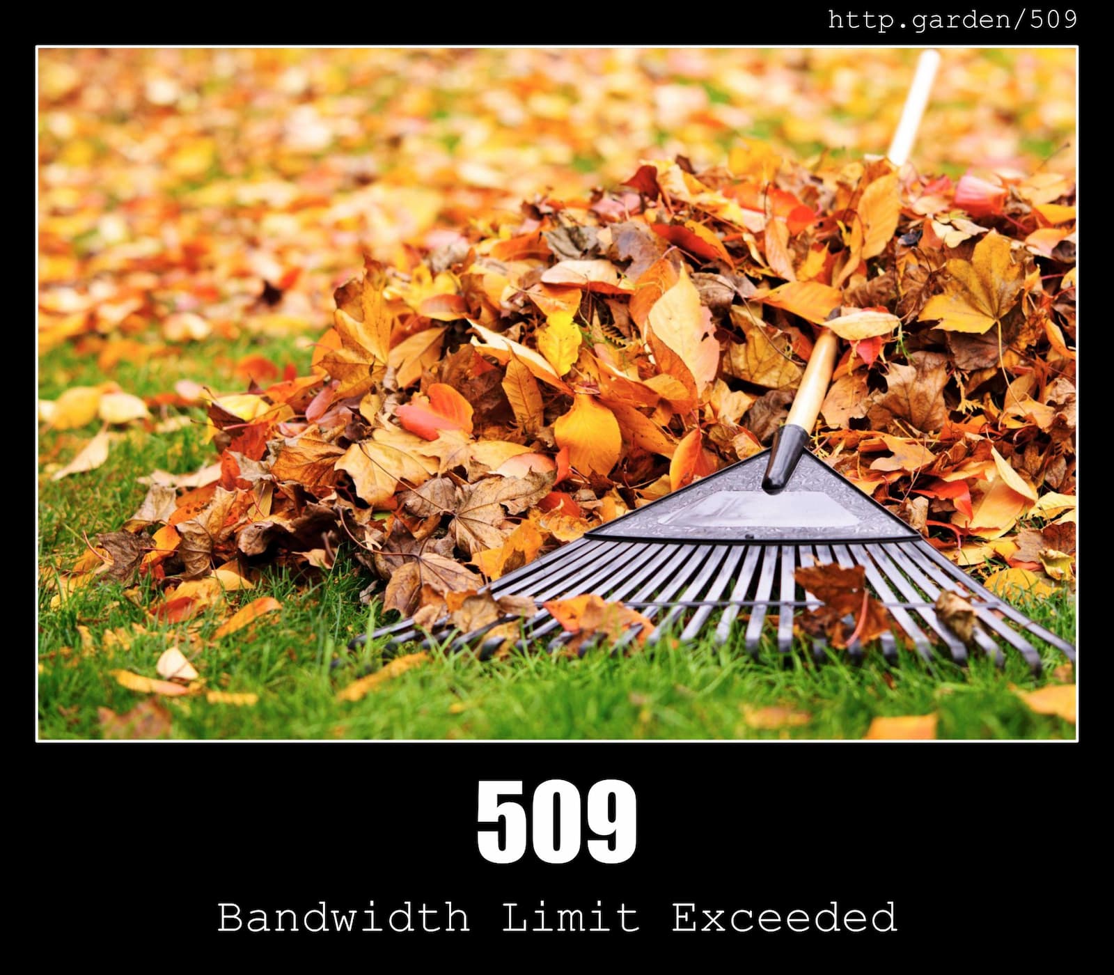 HTTP Status Code 509 Bandwidth Limit Exceeded