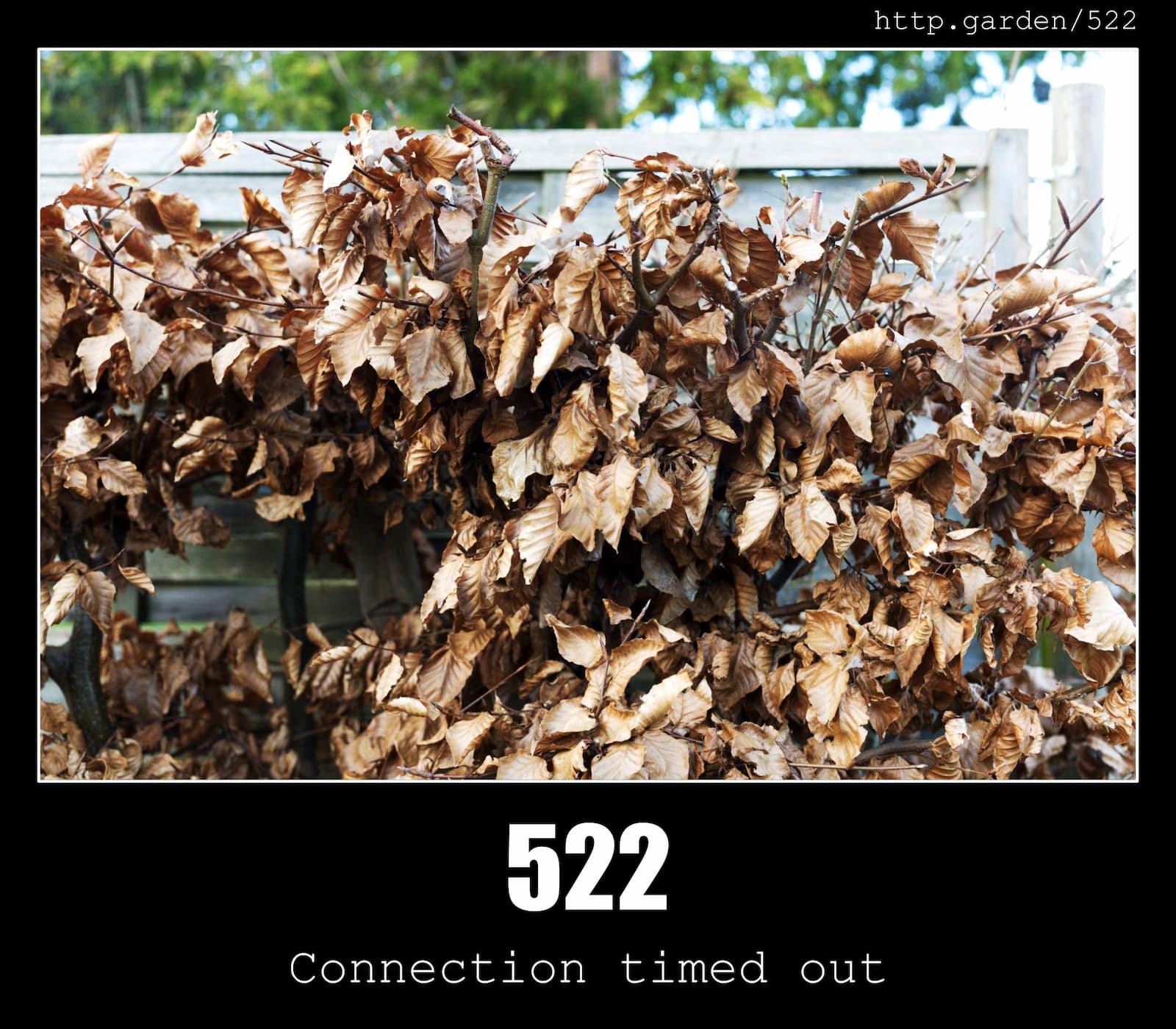 HTTP Status Code 522 Connection timed out & Gardening