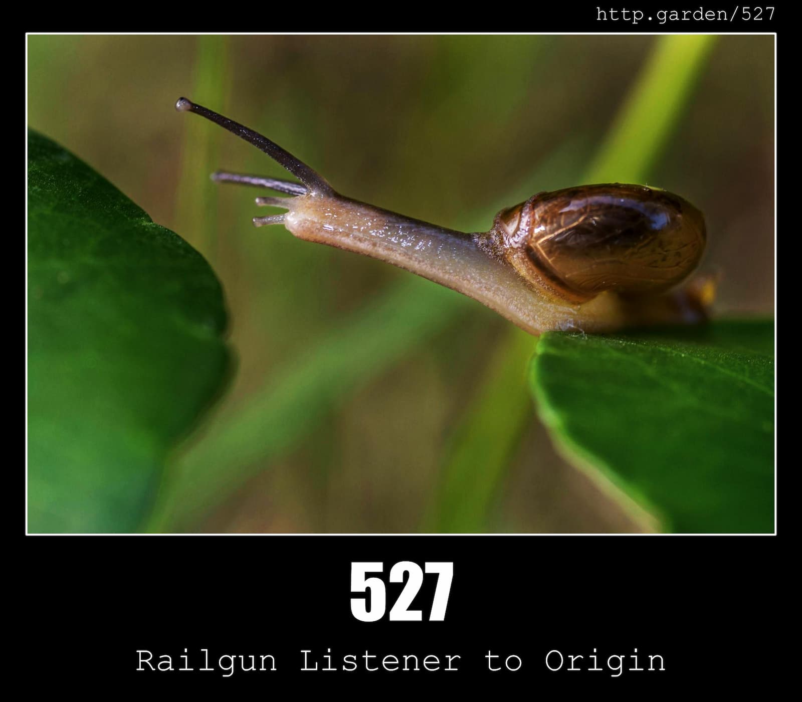 HTTP Status Code 527 Railgun Listener to Origin