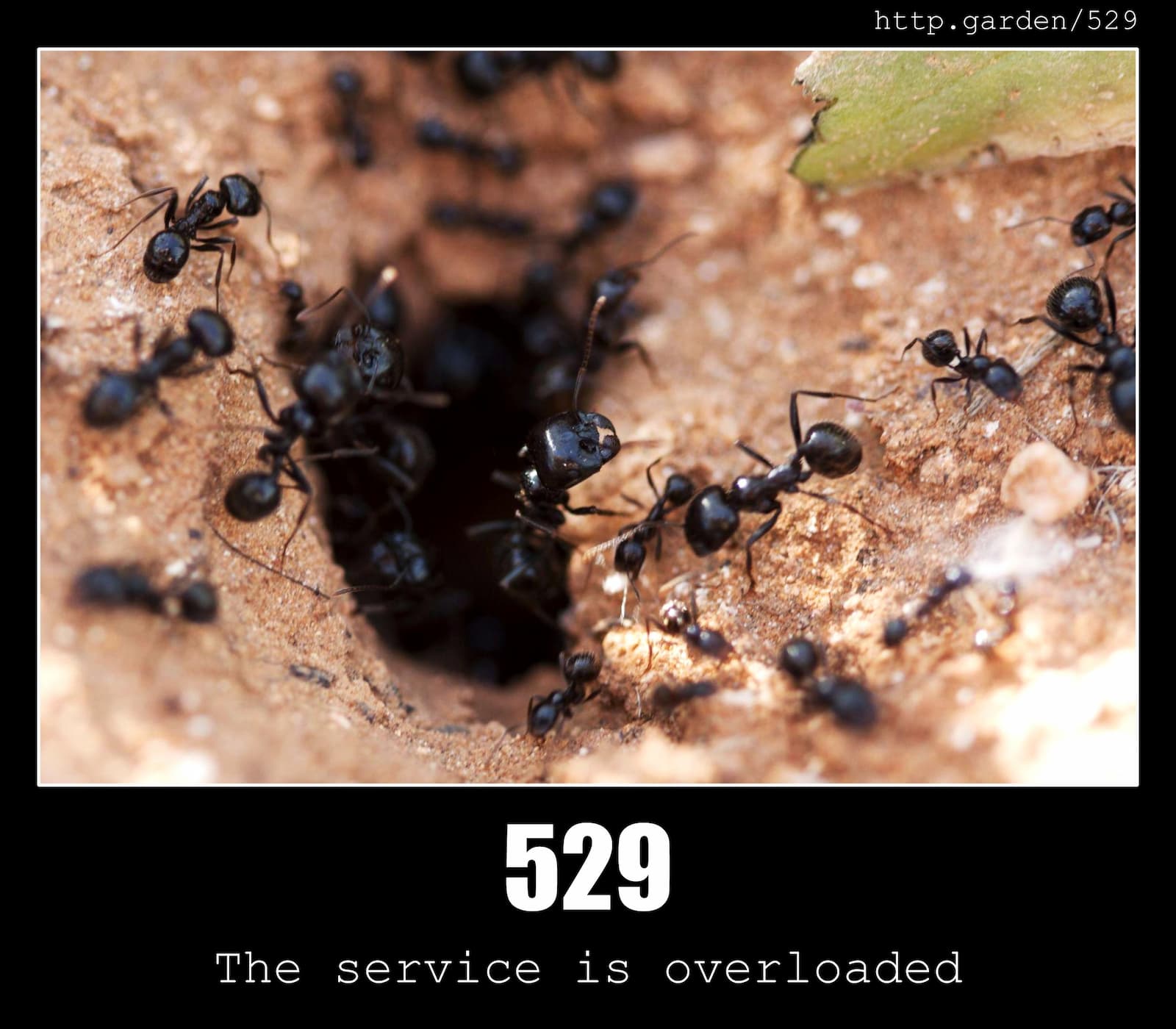 HTTP Status Code 529 The service is overloaded