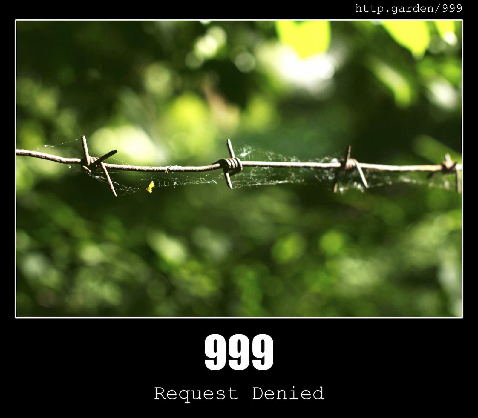 HTTP Status Code 999 Request Denied
