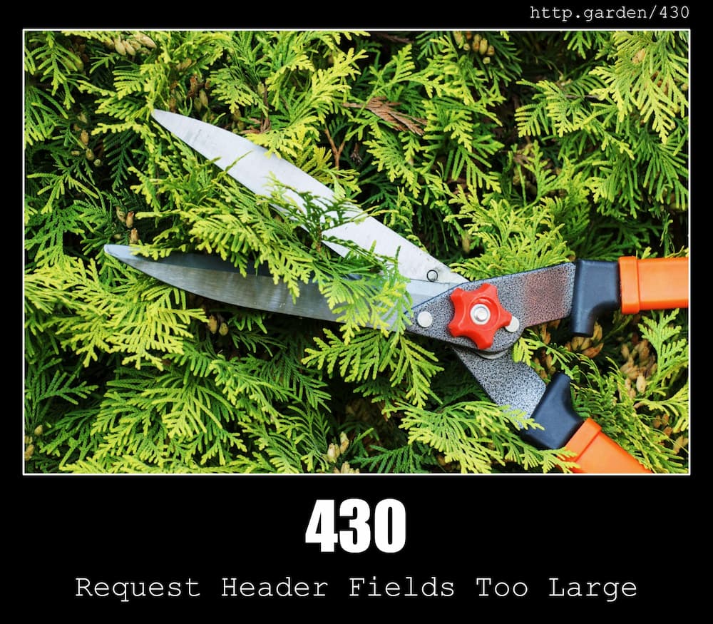 430-request-header-fields-too-large-http-status-code-and-dogs
