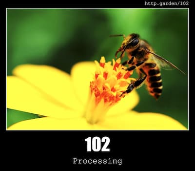 102 Processing & Gardening