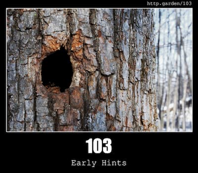 103 Early Hints & Gardening
