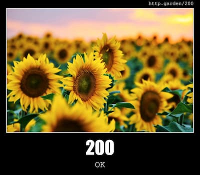 200 OK & Gardening