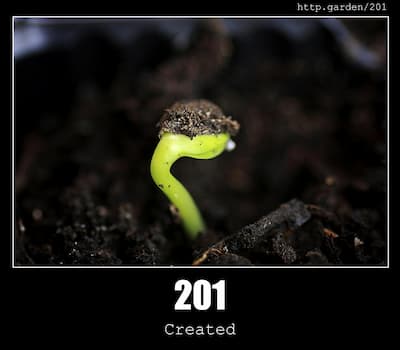 201 Created & Gardening