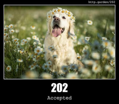 202 Accepted & Gardening