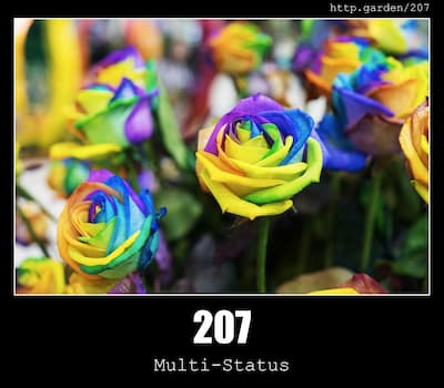 207 Multi-Status & Gardening