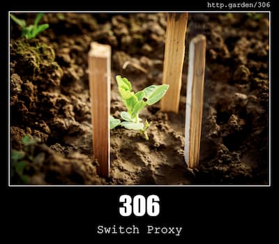 306 Switch Proxy & Gardening