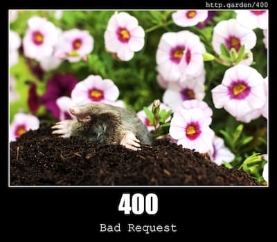 400 Bad Request & Gardening