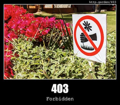 403 Forbidden & Gardening