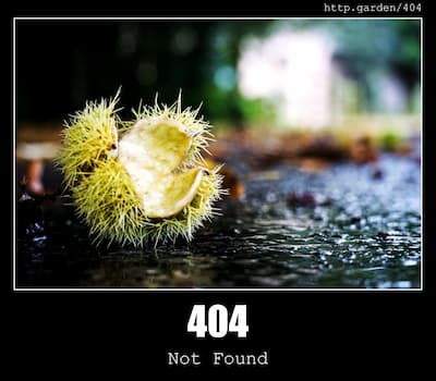 404 Not Found & Gardening
