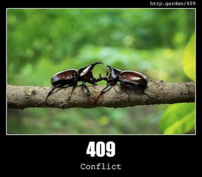 409 Conflict & Gardening