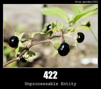 422 Unprocessable Entity & Gardening