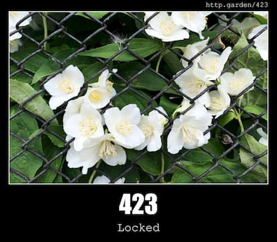 423 Locked & Gardening