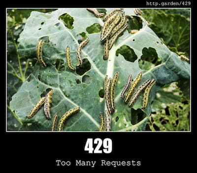 429 Too Many Requests & Gardening