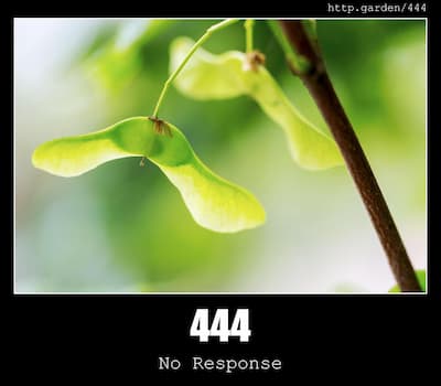 444 No Response & Gardening