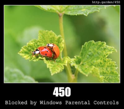 450 Blocked by Windows Parental Controls & Gardening