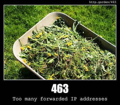 463 Too many forwarded IP addresses & Gardening