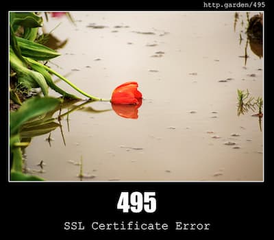 495 SSL Certificate Error & Gardening