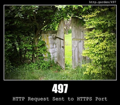 497 HTTP Request Sent to HTTPS Port & Gardening