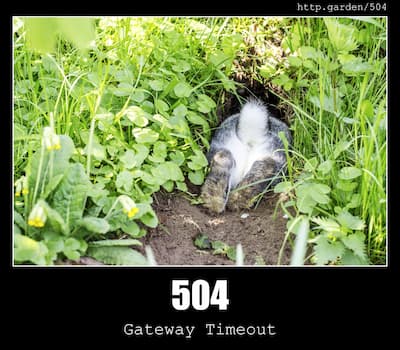 504 Gateway Timeout & Gardening